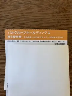 パルグループホールディングス　PAL GROUP 株主優待券　男性名義　1枚のサムネイル