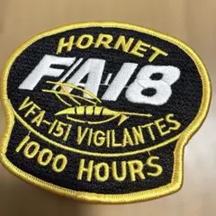 F/A-18 VFA-151 VIGILANTES 1000 HOURS
