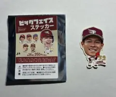 Item thumbnail for item da9a88d2-55f4-42d0-93a7-c0d2c9a1f78b