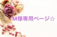 M様 リクエスト 5点 まとめ商品