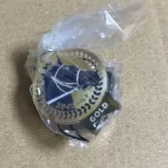 ステイゴールド