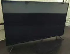 ジャパンネクスト 55型 液晶モニター 4K JN-IPS5500TUHDR