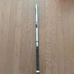 SSKリーグチャンプ TRAININGバット