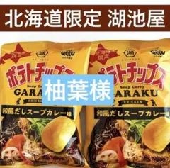北海道限定 湖池屋 GARAKU和風だしスープカレー味 北海道限定ポテチのサムネイル