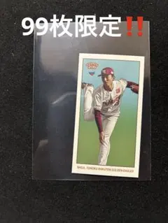 Item thumbnail for item 604a7443-ed1a-40b0-af53-3571ca447dfe