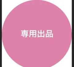 専用出品