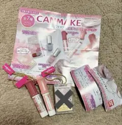 美品　キャンメイクミニチュアコレクション　むちぷるティント2本セット