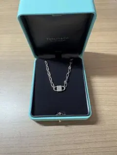 2026年最新】ティファニー ロック ネックレス スモールの人気アイテム