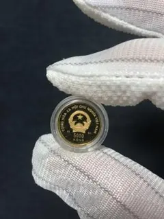 Item thumbnail for item 34e65e49-c71c-4354-912b-6e38fe69731d