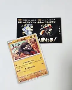 【ノーマル】パルデアケンタロス+【チラシ】色違い　ミライドン　コライドン
