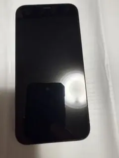 iPhone12pro 256GB
