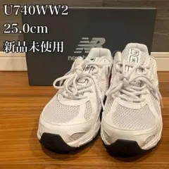 Item thumbnail for item f37fa564-3ee0-41db-ae1c-24671f7ba8d6