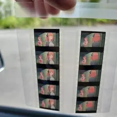 映画 五等分の花嫁 生コマフィルム