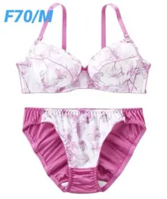 タグ付　シフォン風　グラマーサイズ　ブラジャーショーツセット　ピンク系　◎のサムネイル