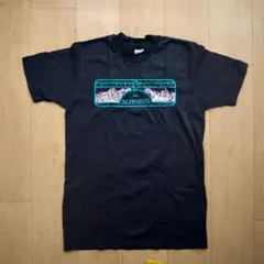 未使用 80's-90's シュイナード Chouinard Tシャツ