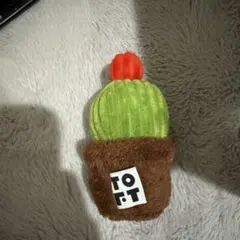 2025年最新】TOFT サボテンの人気アイテム - メルカリ