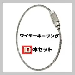 ☆ワイヤー キーリング 10本セット シルバー ネジ式 キーホルダー
