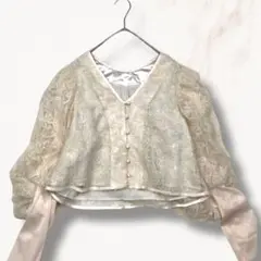 AMERI BRUSHED LACE VOLUME SLEEVE BLOUSEのサムネイル