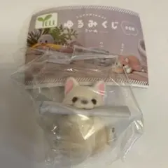 ゆるみくじ こいぬ フレンチブルドッグ