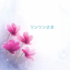 リンリン２８様 リクエスト 2点 まとめ商品