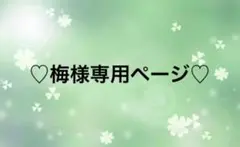 シクフォニ缶バッジ