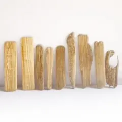 Item thumbnail for item a1a25e9a-c2fc-45d1-bab1-26ea2b56dc12