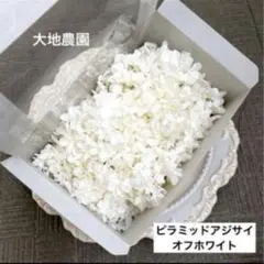 eru ✿様 ご専用