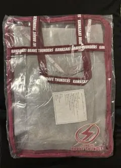 川崎ブレイブサンダース バスケットボール