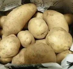 「じゃがいも」(約５kg)【農薬使用してません】のサムネイル