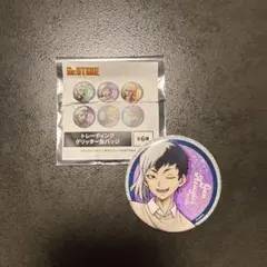 Dr.STONE SPARK OF SCIENCE 缶バッジ 花火 石神 千空 - メルカリ