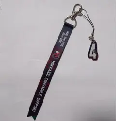 北海道コンサドーレ札幌 4番中村 試合日ボンフィンストラップ(11/3千葉)