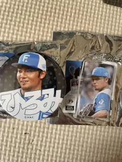 Item thumbnail for item 3506ecc0-3f96-4904-bcab-41008cfacbbc