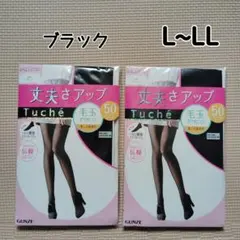 タイツ グンゼ トゥシェ ブラック 50D L~LL 2足