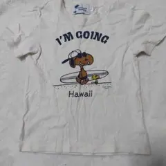 Item thumbnail for item ee6d8e25-c4bf-4114-8170-4944020fa5a9