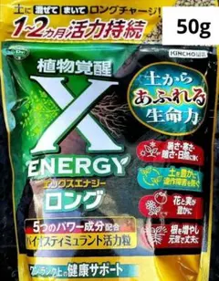 エックスエナジー ロング 粉タイプ 50g 植物活力剤 キンチョー園芸のサムネイル