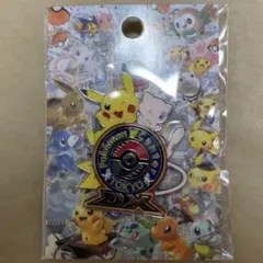2025年最新】ポケモンセンタートウキョーDX ロゴピンズの人気アイテム