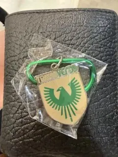 東京ヴェルディ キーホルダー カラビナ付き