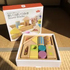 エドインター Sound Blocks 音いっぱいつみき