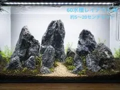 4ADA 万天石セット 12キロ 一点物 石組 絶版 水槽 レイアウト 山谷石