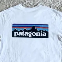 【最終値下げ】Patagonia パタゴニア　半袖Tシャツ　XSサイズ