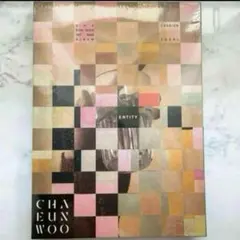 2025年最新】チャウヌ トレカ entityの人気アイテム - メルカリ