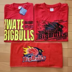 岩手ビッグブルズ Tシャツ．タオルマフラー セット