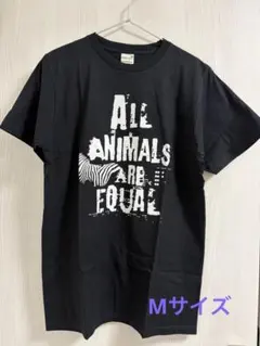 AA= AIR JAM 2012 Tシャツ Mサイズ