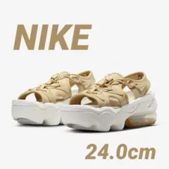 【ぽん٭•。❁。.*・゜様専用】NIKE CI8798 200 24.0cm