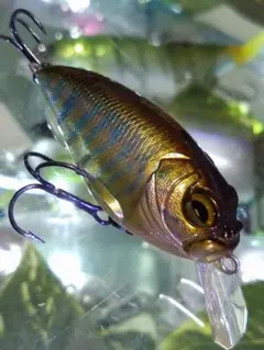 2025年最新】メガバス アサイラムの人気アイテム - メルカリ