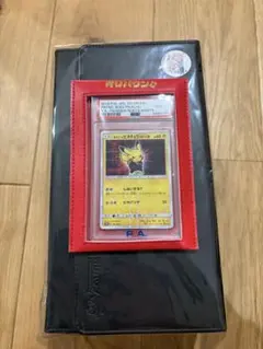 ボスごっこピカチュウ ギンガ団 P レインボーロケット団の野望