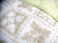 Item thumbnail for item 005eca02-8005-415c-9a26-f48eebf50429