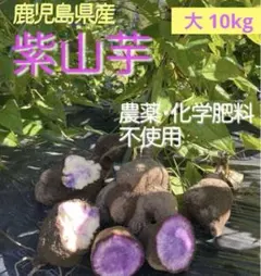 2026年最新】紫山芋の人気アイテム - メルカリ