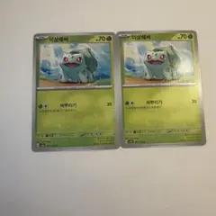 韓国版 ポケモンカード フシギダネ 2枚セット