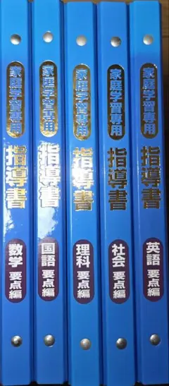 中学英語 家庭教師教材 要点指導書と 問題シート 2025年最新】要点指導書の人気アイテム - メルカリ